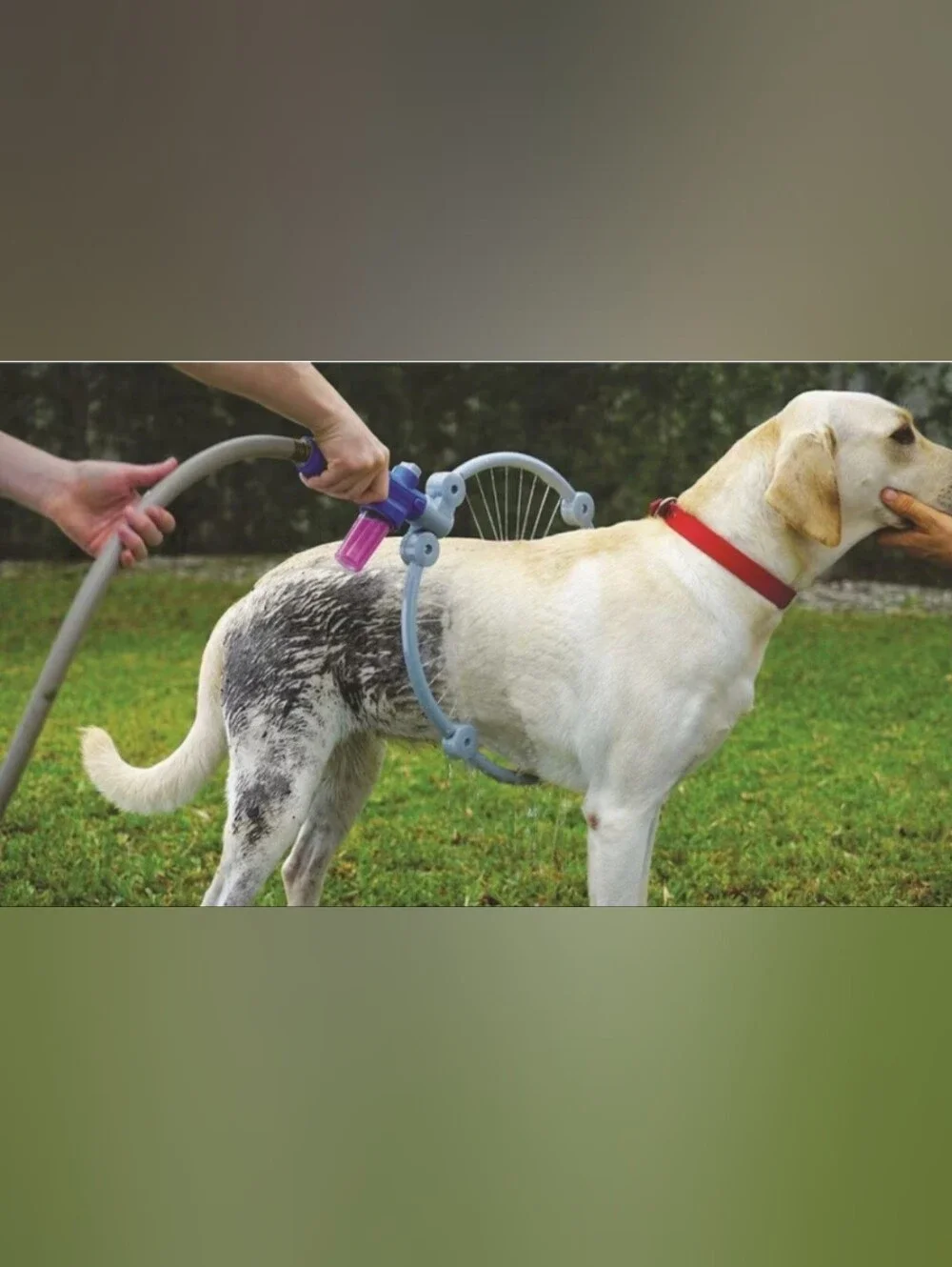 Pet Dog Bathing Ring Sprinkler - Blue